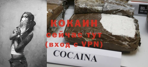 шишки Осинники