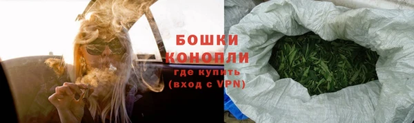 шишки Осинники