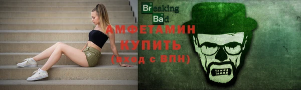 шишки Осинники
