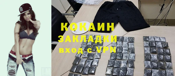 шишки Осинники