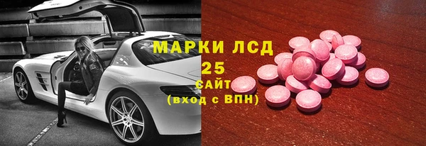 шишки Осинники
