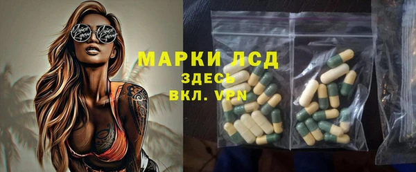 шишки Осинники
